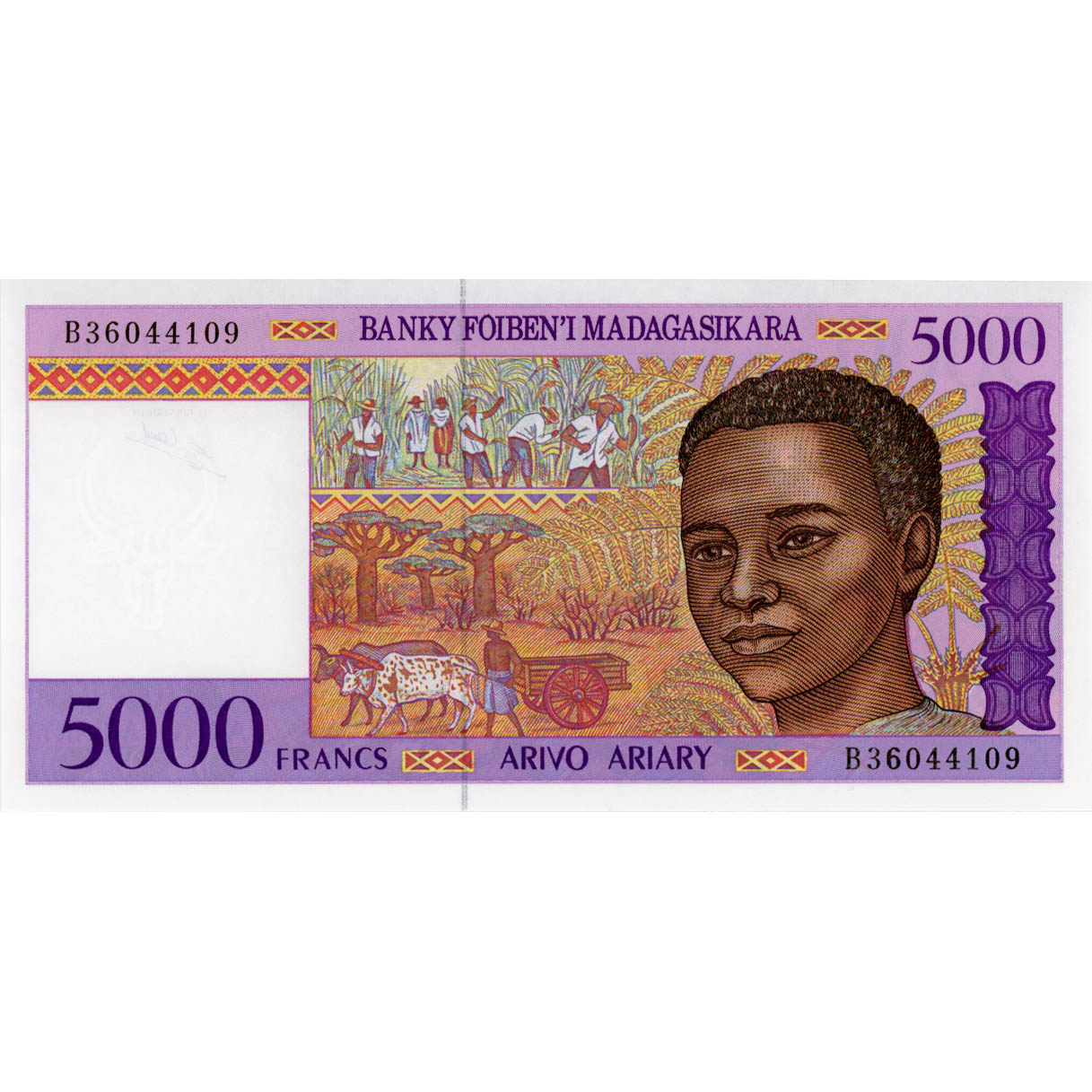 Madagascar - 5000 Francs = 1000 Ariary ND(1995), (P.78b) Erh. UNC