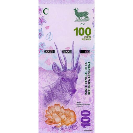 Argentinien - 100 Pesos ND (2019) (P.363A-A) Erh. UNC